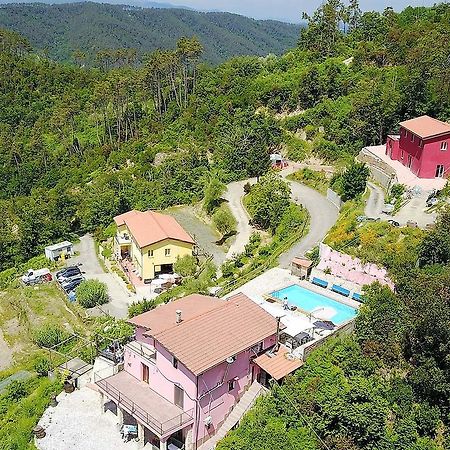 I Gelsi E I Castagni Villa Polverara Kültér fotó