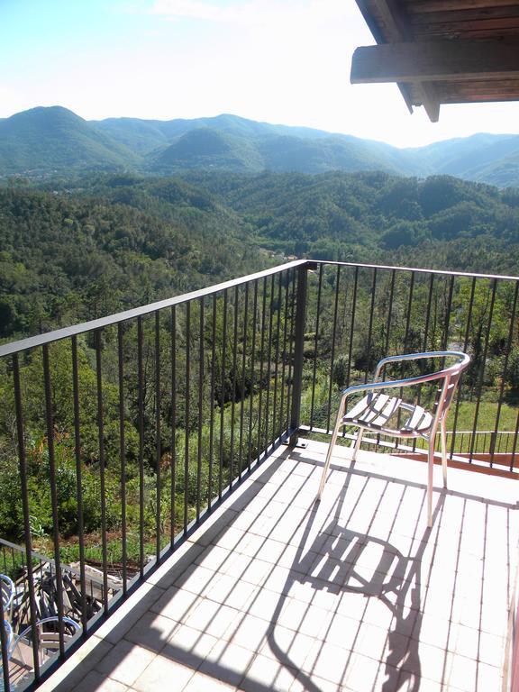 I Gelsi E I Castagni Villa Polverara Kültér fotó
