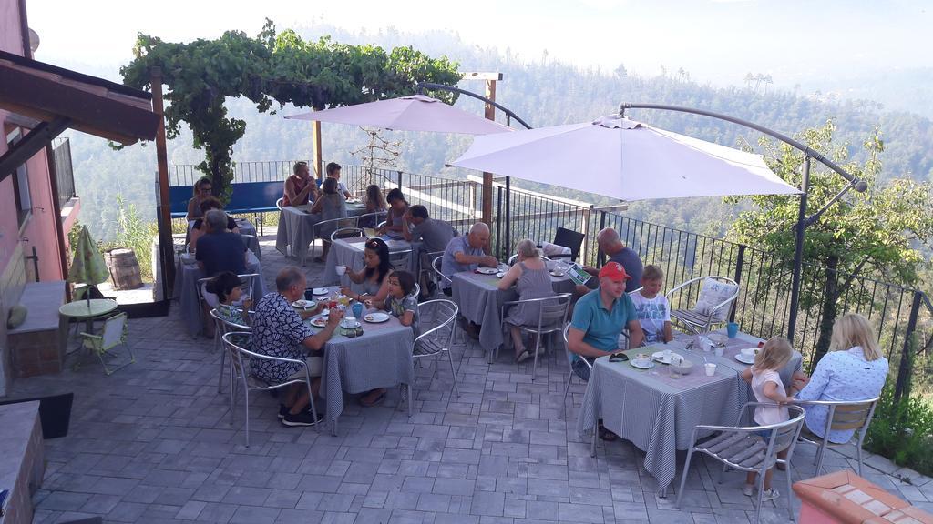 I Gelsi E I Castagni Villa Polverara Kültér fotó