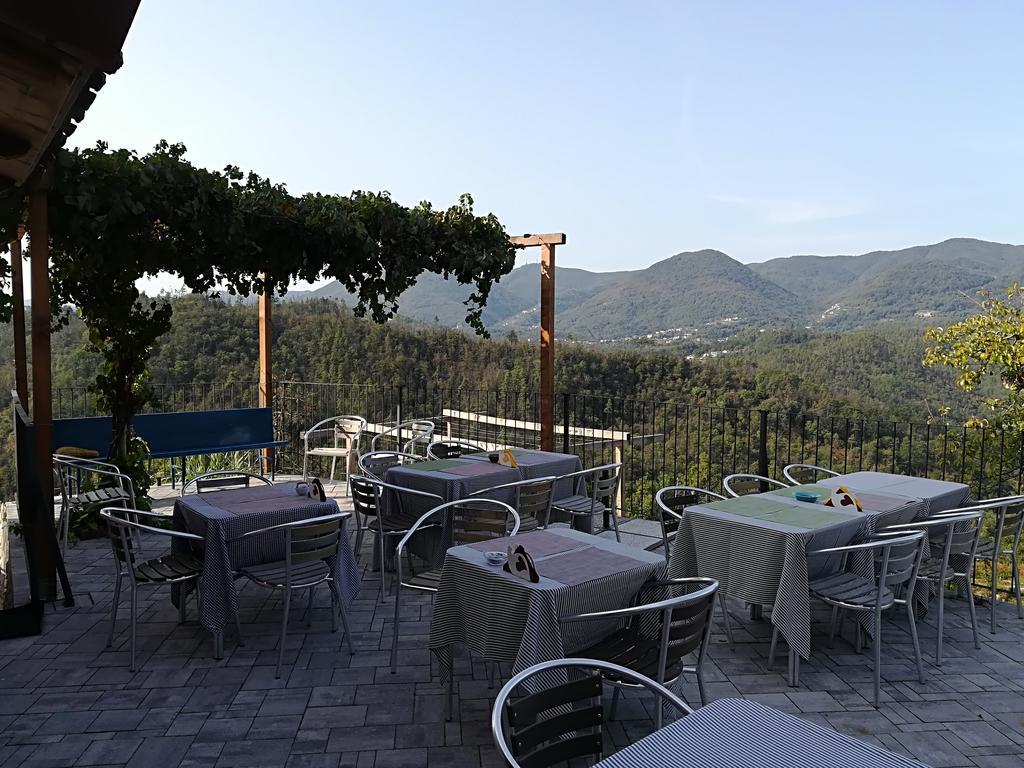 I Gelsi E I Castagni Villa Polverara Kültér fotó