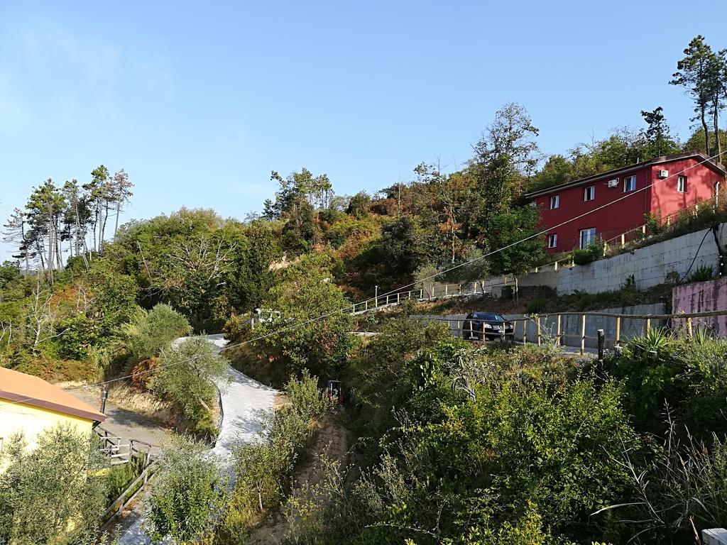 I Gelsi E I Castagni Villa Polverara Kültér fotó