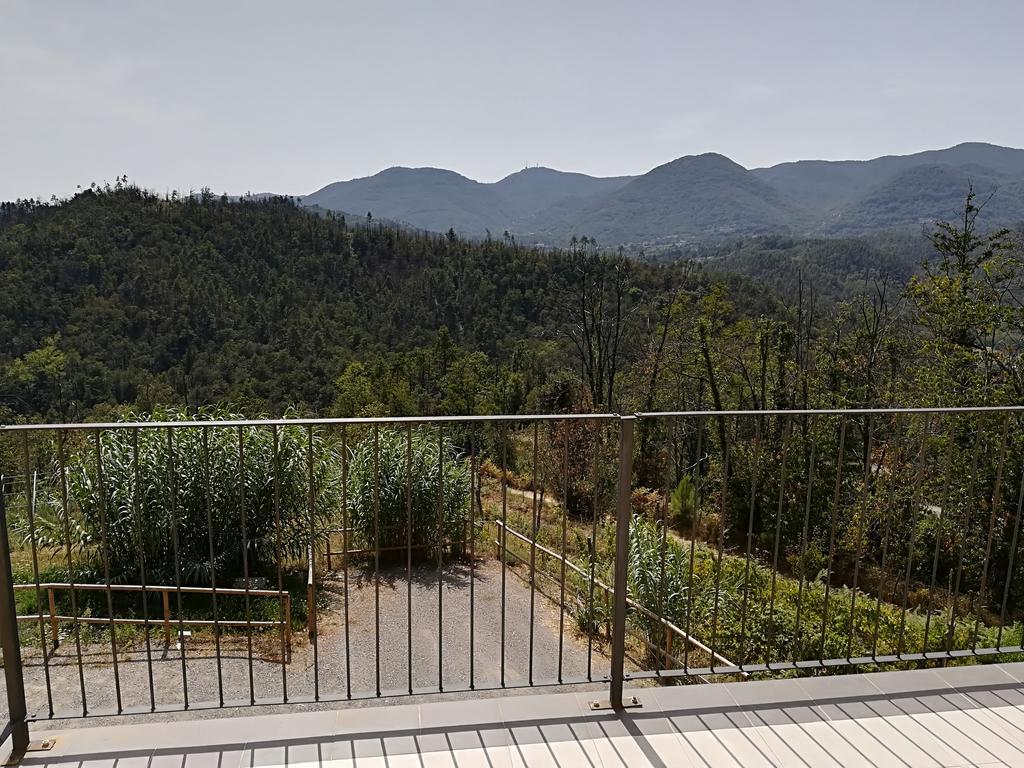 I Gelsi E I Castagni Villa Polverara Kültér fotó